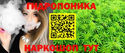 PSILOCYBIN Будённовск