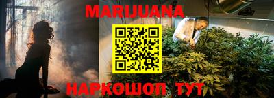 PSILOCYBIN Будённовск