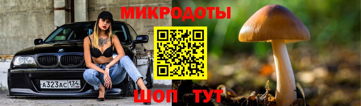 Псилоцибиновые грибы прущие грибы Дубна